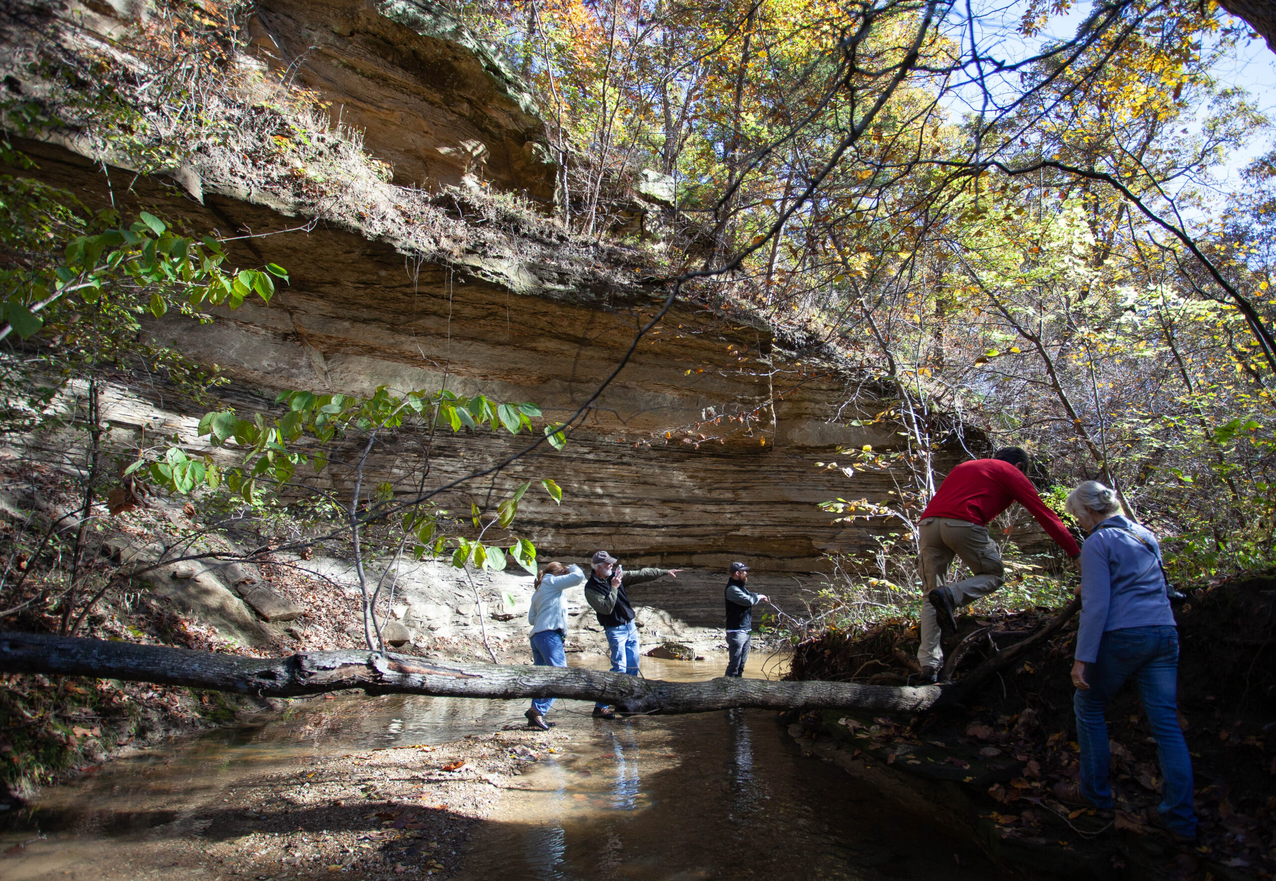 PHOTOS A walk through Baldwin Woods Forest Preserve News, Sports